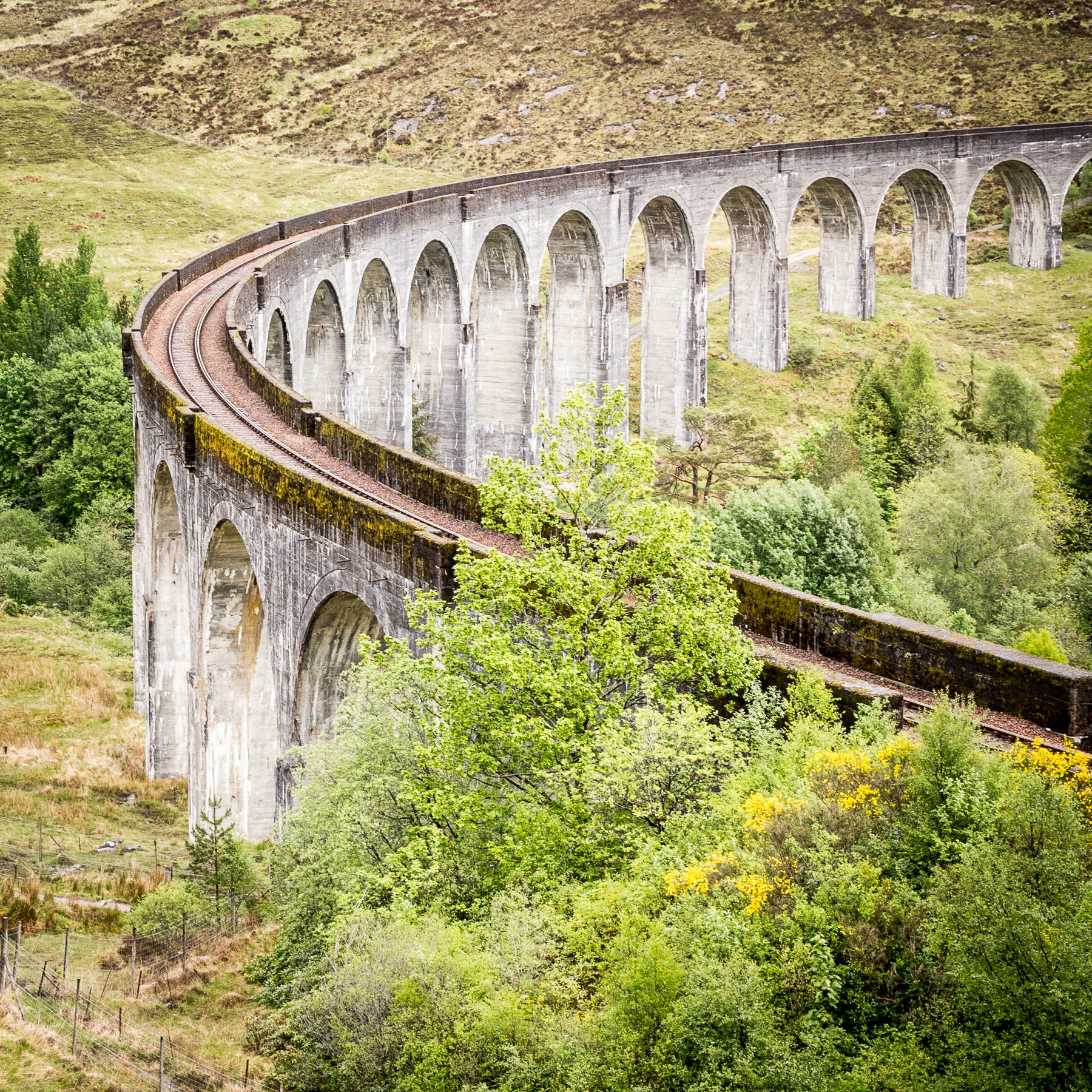 Glenfinnan Viaduct – die Harry-Potter-Brücke in Schottland